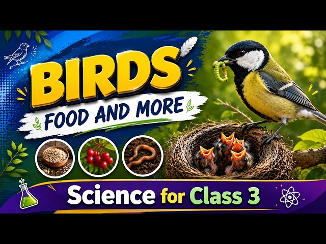 Birds: Food and More | Science for Class 3