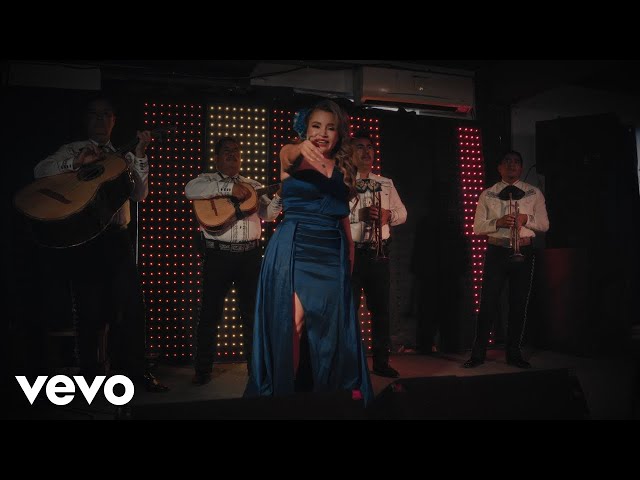 Briseyda Solis - Sin Fortuna