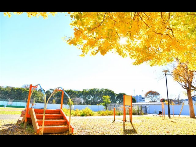 【内覧動画】AP50 メゾン・ド・エマイユ（家具家電付きアパート）／南阿佐ヶ谷駅、徒歩7分。水辺の風景と木々に癒される公園あり！【部屋探し】