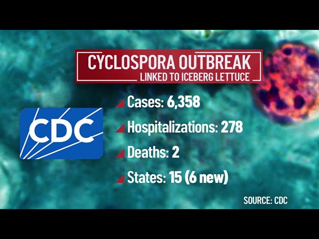 New numbers show no signs of cyclospora slowing down | NBC4 Washington
