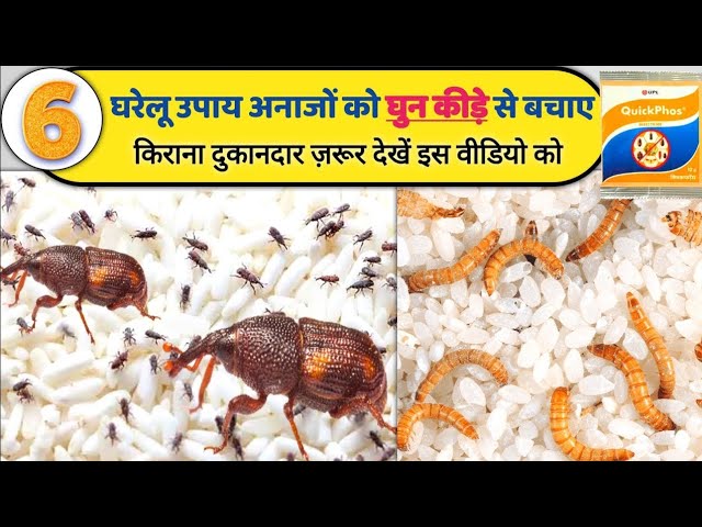 Home Remedies To Get Rid Of Fungal Infection