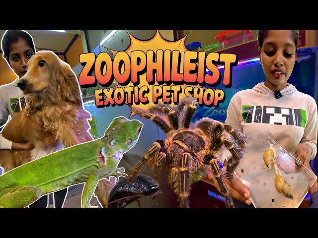 🐾 Zoophilist Exotic Pet Shop Chennai | EP 01 | Pet Akka | Tarantulas, Snails, Scorpian & More 🐾