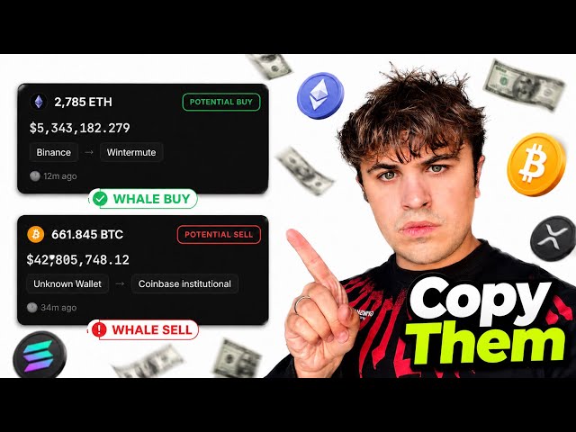 How to Copy Crypto Whales & Make Millions (Bootcamp Day 9)