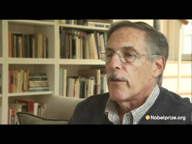 Answer: Is economics becoming mathematics?