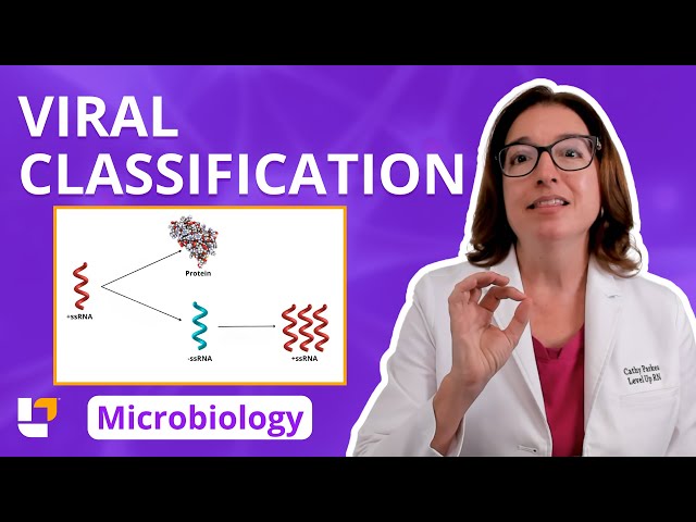 Viral Classification: Microbiology Acellular for Pre-Nursing / Pre Med Students | @LevelUpRN