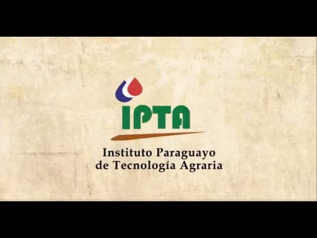 Conmemoración de los 10 años de creación del IPTA.