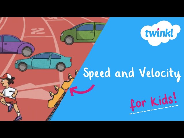 What is the Difference Between Speed and Velocity? | Twinkl USA