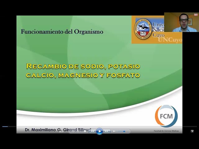 Fisiología renal: Metabolismo de sodio, potasio, calcio, fosfato y magnesio