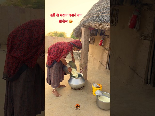 दही से मखन बनाने का प्रोसेस 😍