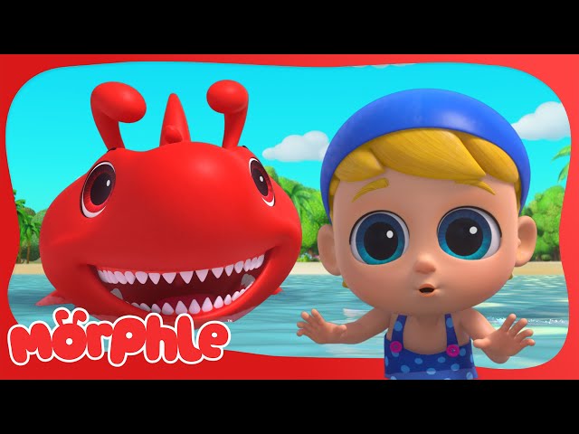 Who is the Mystery Beach Shark?! 🦈🏖️ Mila and Morphle | Cartoons for Kids