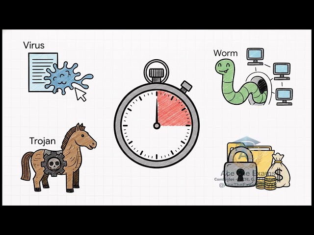 The Internet And Its Uses Igcse Computer Science | Computer Science 0478 | Ace The Exam