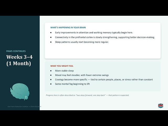 UHRC_Meth_Brain_Recovery_Timeline.pptx