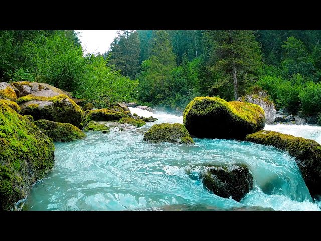 Autumn Forest Mood – Calming River, Water Sounds for Sleep & Focus, | Autumn Nature Atmosphere