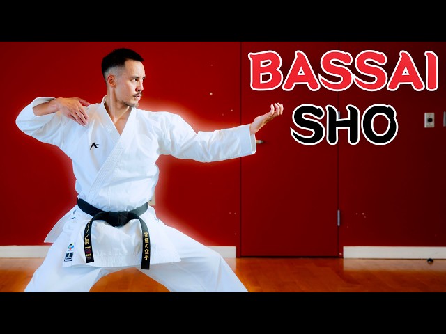 KARATE KATA: BASSAI SHO (Slow & Fast)