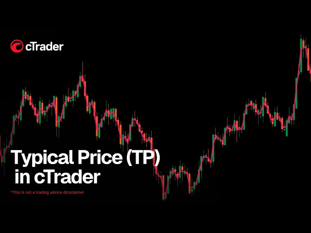 Typical Price (TP) indicator in cTrader - what it shows and how to use it