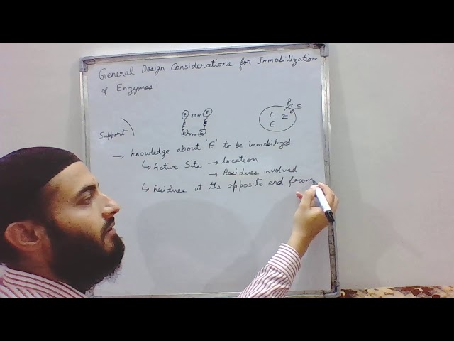 General Design Considerations for the Immobilization of Enzymes