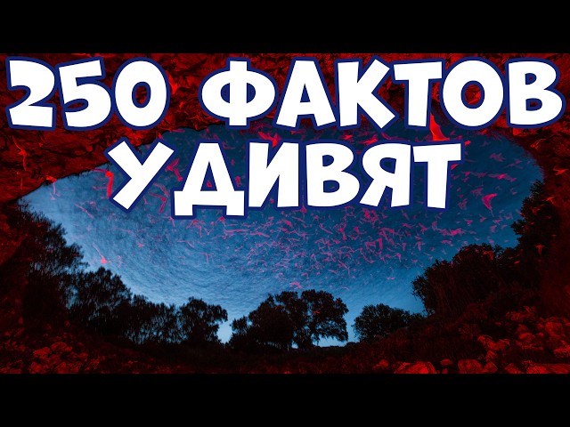 250 UNKNOWN FACTS THAT WILL DEFINITELY SURPRISE YOU