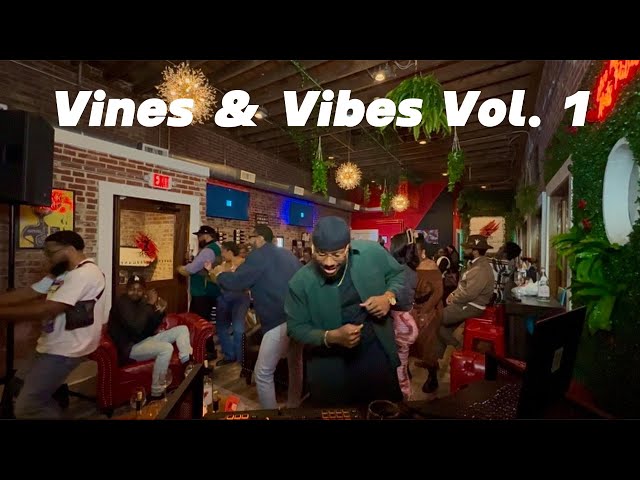 Vines & Vibes Vol.  1 | R&B, Hip-Hop, Throw-backs & Mash-ups | DJ Mix | (Live Party Session)