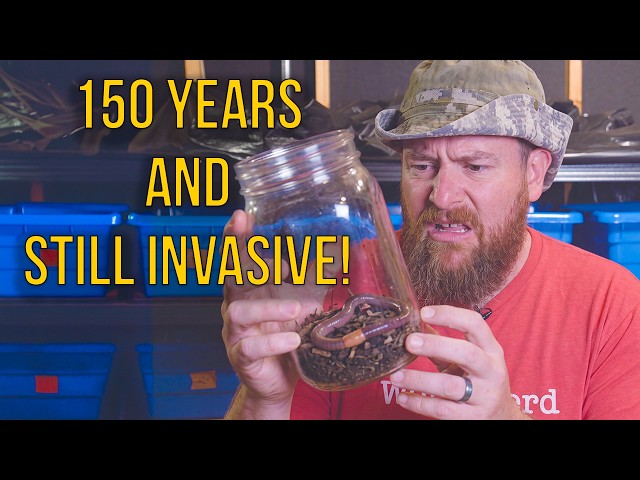 Asian Jumping Worm Invasion: What Every Gardener and Composter Needs to Know