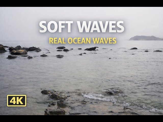 🌊 Soft Ocean Waves for Gentle Sleep • Calm Sea Sounds • 11 Hours (No Music)
