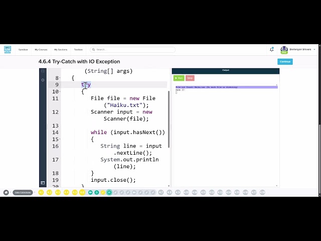 Demo of CodeHS Lesson 4.6 Using Text Files