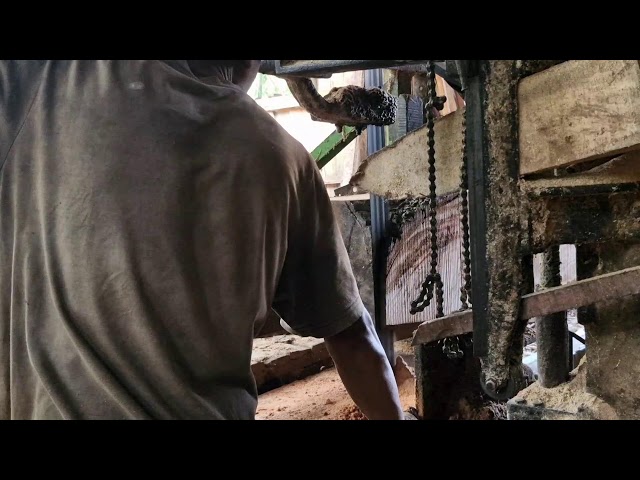 INCREDIBLE Precision Sawmill Tech Slicing Giant Trees Into Smooth Planks