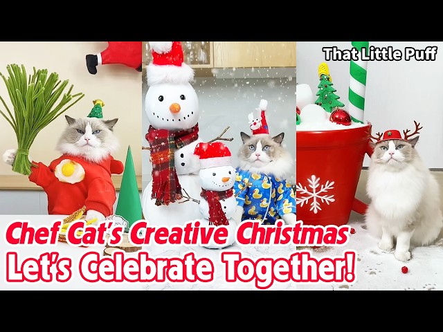 Chef Cat’s Creative Christmas  Let’s Celebrate Together! | That Little Puff