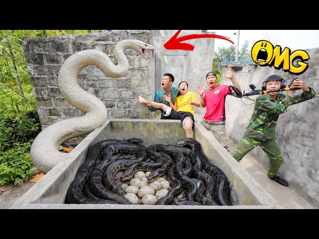 Brave Expert Confronts Giant White Python Nest to Rescue Young Girl