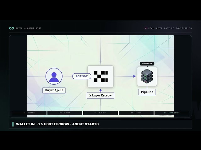 I Built an AI That Roasts Your Wallet (ApeRoast)