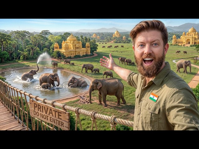Private Tour of an Indian Billionaire's Secret Elephant Sanctuary