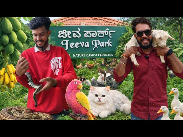 Is This the Perfect Weekend Place for Kids & Families? 🌿 100% Yes