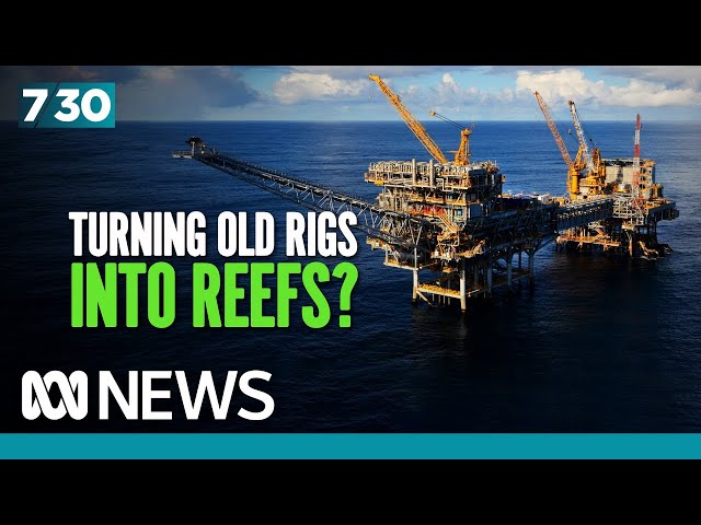 Gas in the Bass Strait is running out but what will happen to the offshore rigs? | 7.30