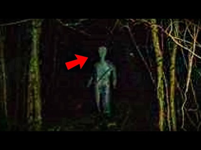 Top 15 Scariest Creature Videos of 2021!
