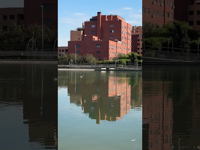 PARQUE DE LA SOLIDARIDAD 2026
