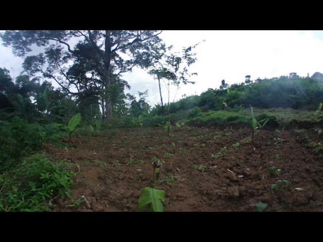 360 graden view: ecolodge Portibi Farm Java Indonesia