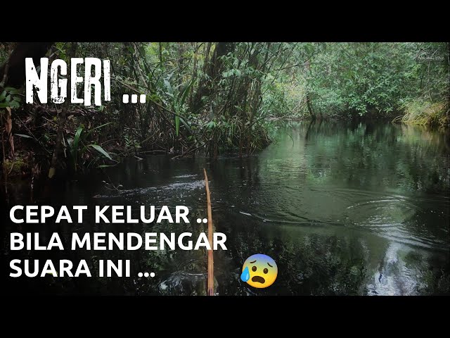 " THE SPIRIT OF THE BERUANG RIVER IS FURIOUS " !!! .. 😰😱😨 ..
