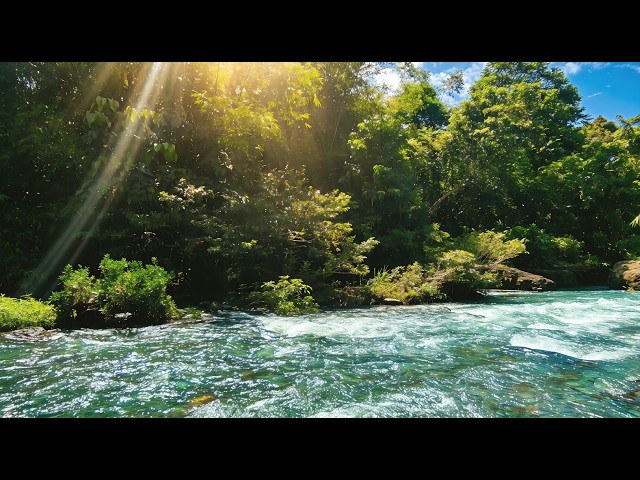 Clean River Sound ASMR 🌊 Pure Water Flow – No Rain No Music for Deep Sleep & Calm