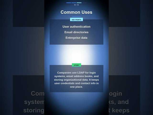LDAP in 60 Seconds: The Quick Guide to Directory Access!