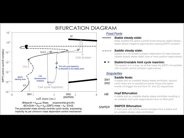 Mathematical and theoretical biology | Wikipedia audio article