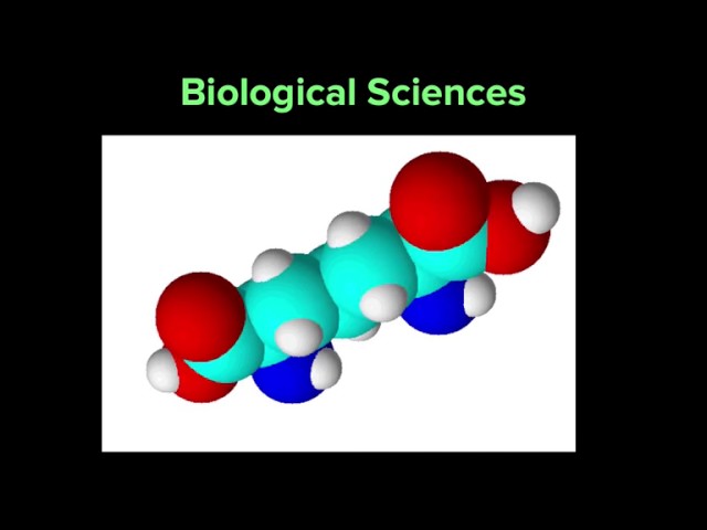What is an algorithm and why should you care?