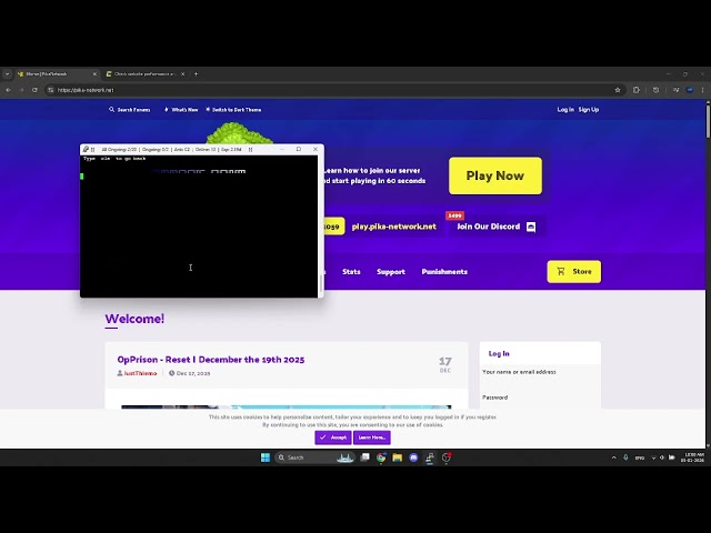 ARTIC C2 VS PIKA NETWORK | DDOS BEST C2/BOTNET/API 2025