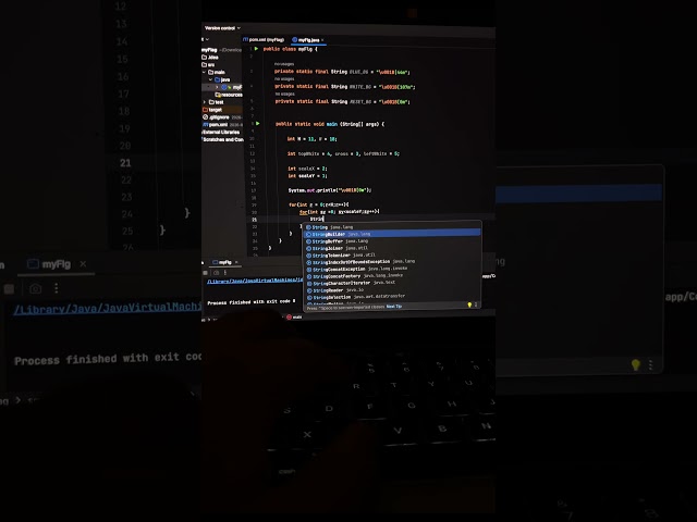 Finland Flag 🇫🇮 in Java Console (ASCII) #Shorts #youtubeshorts #ytshorts #trending  #2026 #challenge