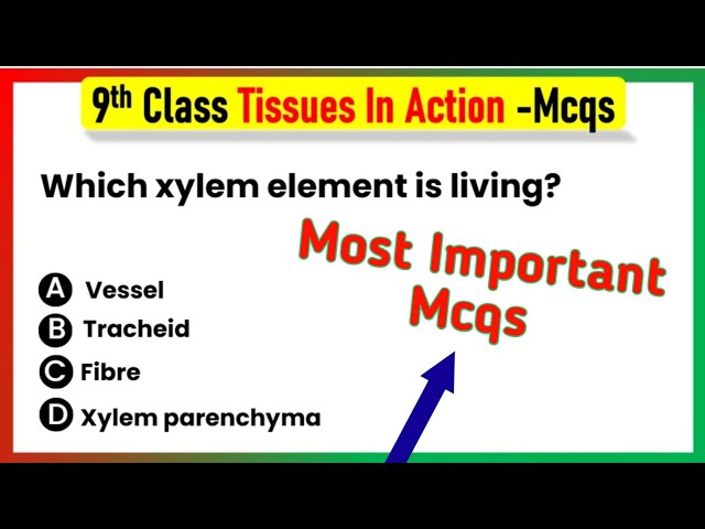 Tissues in Action class 9 mcq | Tissues in Action Class 9 MCQ Questions