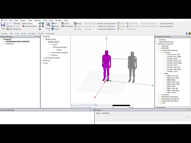 How to Import Human Body Model in HFSS for SAR Simulation