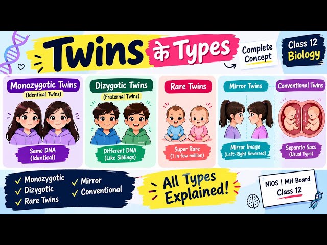 Identical vs Fraternal vs Rare Twins 🧬 | Complete Biology Concept class 12 #twins