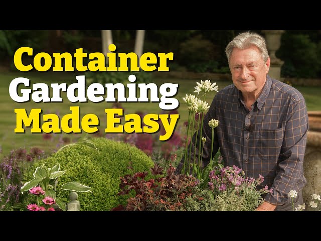 3 Easy Ways To Make Your Garden POP!