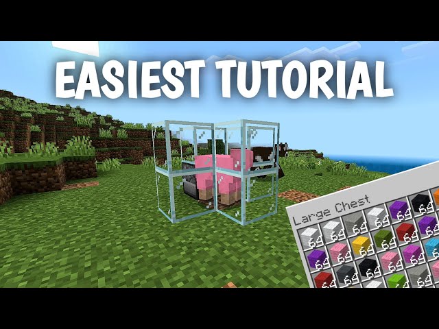 Minecraft Easiest Wool Farm 1.21+ 