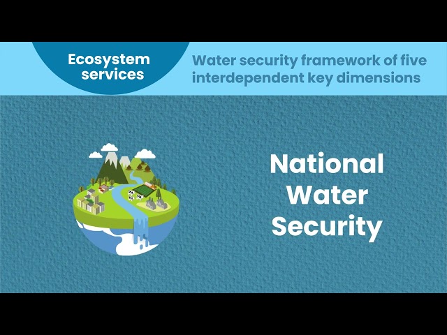 Concepts of water security