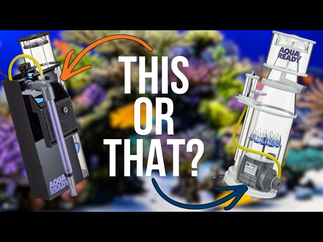 Which AquaReady Protein Skimmer Is Right for Your Reef Tank?