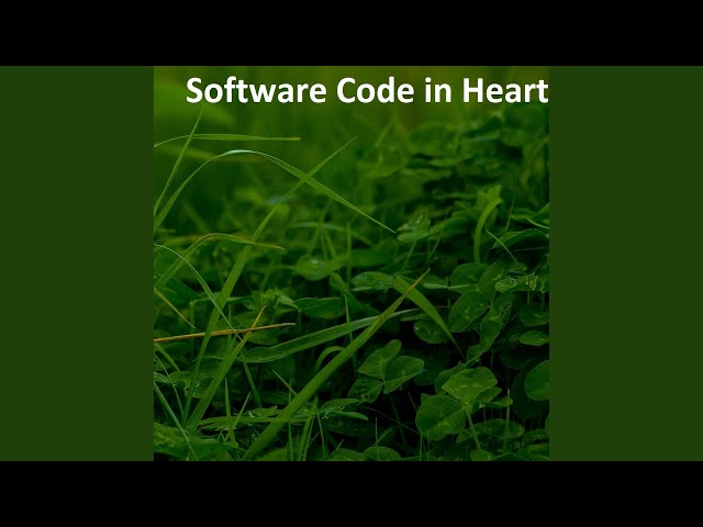 Software Code in Heart